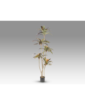 DRACENA ROJA-PLANTA ARTIFICIAL H220